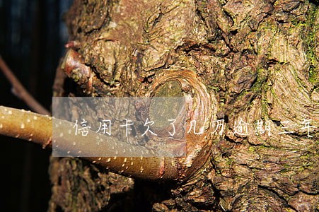 信用卡欠了几万逾期三年 信用卡欠了几万逾期三年