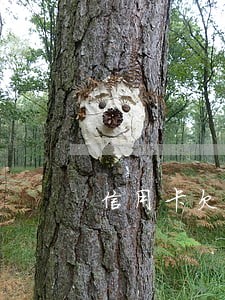 信用卡欠了几百逾期