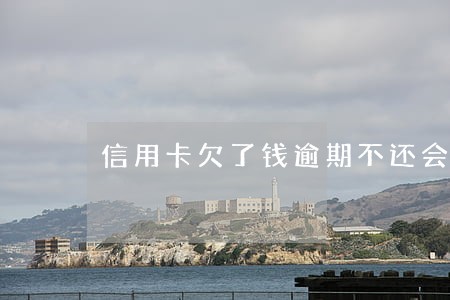 信用卡欠了钱逾期不还会怎么样