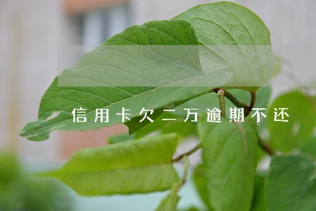 信用卡欠二万逾期不还 信用卡欠二万逾期不还