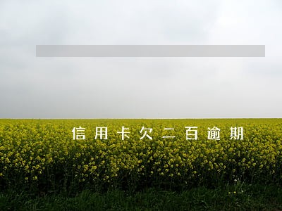 信用卡欠二百逾期 信用卡欠二百逾期
