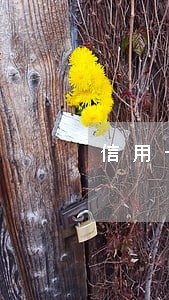 信用卡欠五万逾期十天