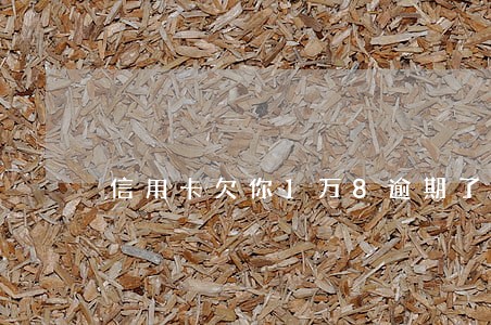 信用卡欠你1万8逾期了 信用卡欠你1万8逾期了