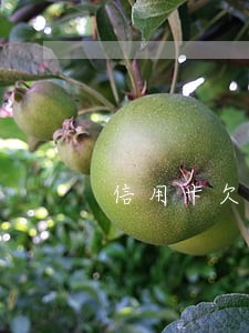 信用卡欠债但没逾期