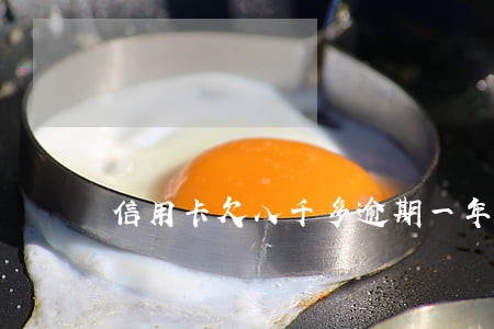 信用卡欠八千多逾期一年半了 信用卡欠八千多逾期一年半了
