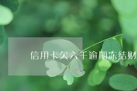信用卡欠六千逾期冻结财产吗 信用卡欠六千逾期冻结财产吗