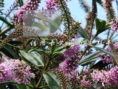 信用卡欠几万逾期半年要跑路吗 信用卡欠几万逾期半年要跑路吗