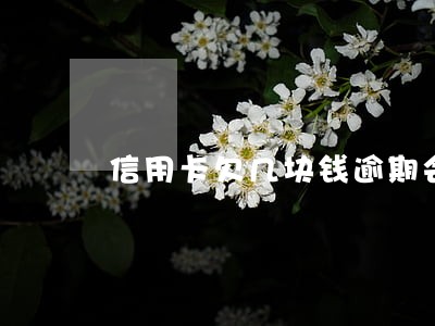 信用卡欠几块钱逾期会冻结吗 信用卡欠几块钱逾期会冻结吗