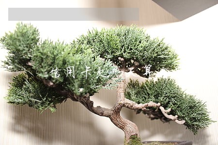 信用卡欠几天算逾期 信用卡欠几天算逾期
