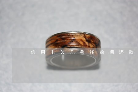 信用卡欠几毛钱逾期还款怎么办 信用卡欠几毛钱逾期还款怎么办