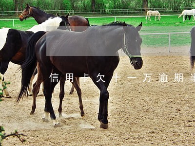 信用卡欠十一万逾期半年