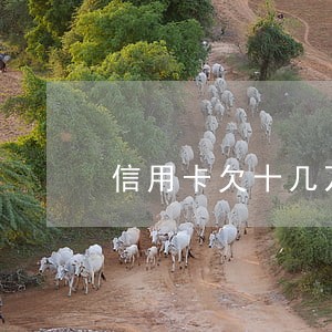 信用卡欠十几万逾期怎么办 信用卡欠十几万逾期怎么办