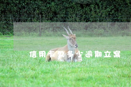 信用卡欠多少逾期立案 信用卡欠多少逾期立案