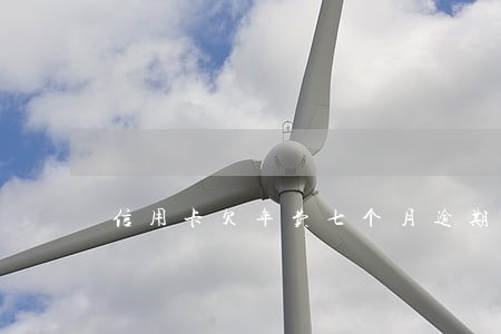 信用卡欠年费七个月逾期 信用卡欠年费七个月逾期