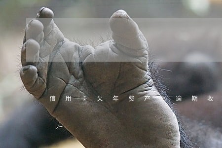 信用卡欠年费产生逾期收利息吗
