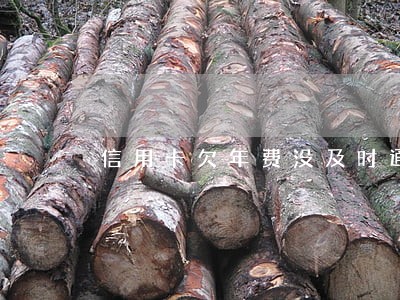 信用卡欠年费没及时通知逾期