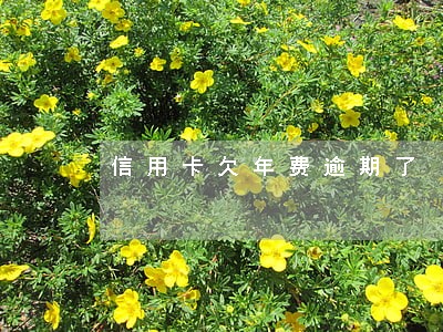 信用卡欠年费逾期了 信用卡欠年费逾期了