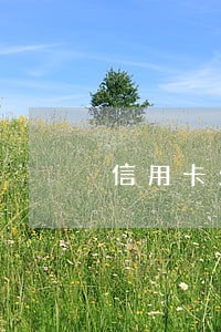 信用卡欠本金逾期 信用卡欠本金逾期