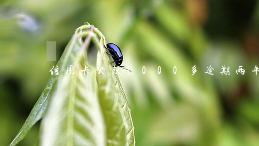 信用卡欠款1000多逾期两年