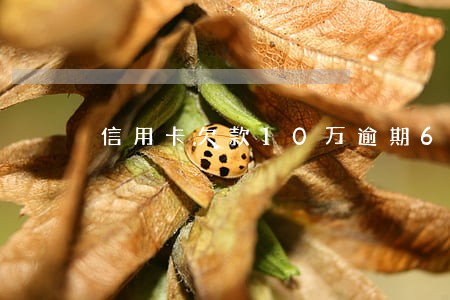 信用卡欠款10万逾期6个月 信用卡欠款10万逾期6个月