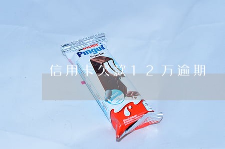 信用卡欠款12万逾期 信用卡欠款12万逾期