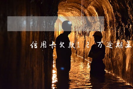 信用卡欠款12万逾期五年不还 信用卡欠款12万逾期五年不还