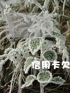信用卡欠款12万逾期半年 信用卡欠款12万逾期半年
