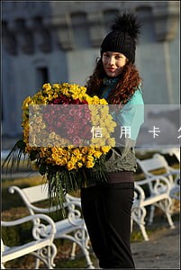 信用卡欠款1500逾期 信用卡欠款1500逾期