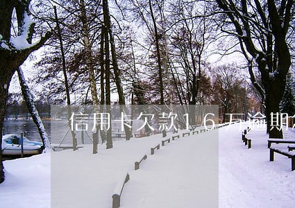 信用卡欠款16万逾期怎么办 信用卡欠款16万逾期怎么办