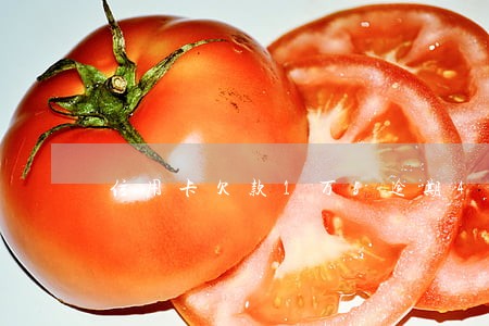 信用卡欠款1万5逾期4个月 信用卡欠款1万5逾期4个月