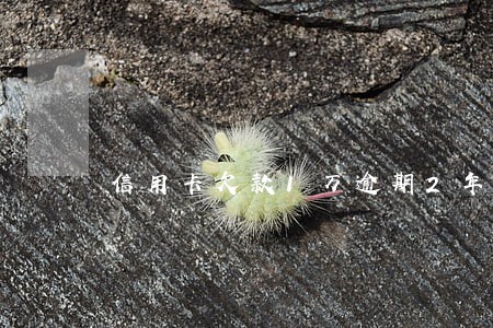 信用卡欠款1万逾期2年没有事