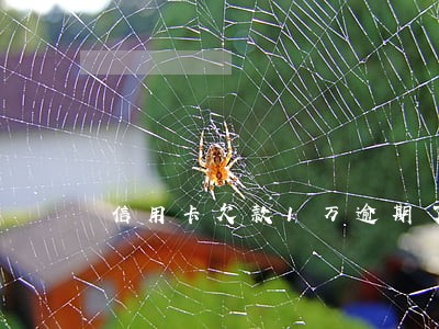 信用卡欠款1万逾期了好几个月