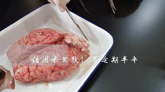 信用卡欠款1万逾期半年