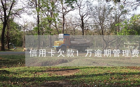 信用卡欠款1万逾期管理费 信用卡欠款1万逾期管理费