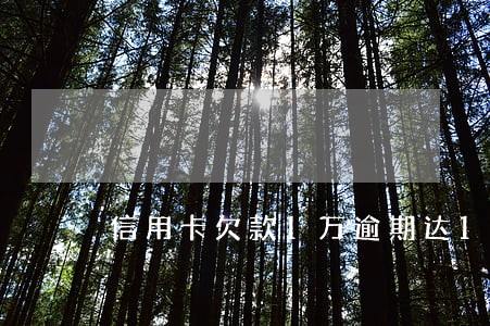 信用卡欠款1万逾期达18次 信用卡欠款1万逾期达18次