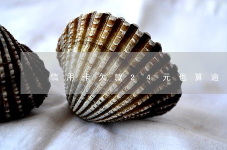 信用卡欠款24元也算逾期吗 信用卡欠款24元也算逾期吗
