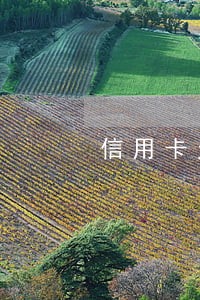 信用卡欠款2万5逾期 信用卡欠款2万5逾期