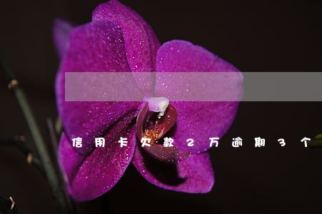信用卡欠款2万逾期3个月 信用卡欠款2万逾期3个月