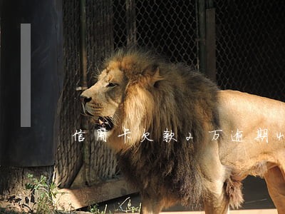 信用卡欠款2万逾期4个月 信用卡欠款2万逾期4个月
