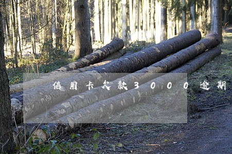 信用卡欠款3000逾期一个月 信用卡欠款3000逾期一个月