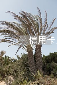 信用卡欠款30万全面逾期 信用卡欠款30万全面逾期