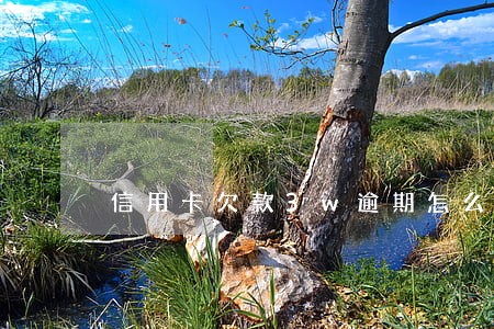 信用卡欠款3w逾期怎么还 信用卡欠款3w逾期怎么还
