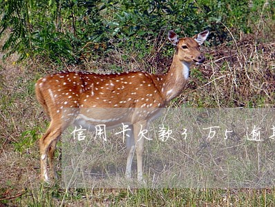 信用卡欠款3万5逾期了会怎么样 信用卡欠款3万5逾期了会怎么样