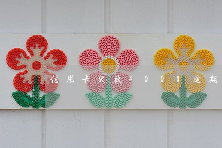 信用卡欠款4000逾期50天