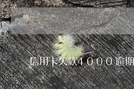 信用卡欠款4000逾期五个月