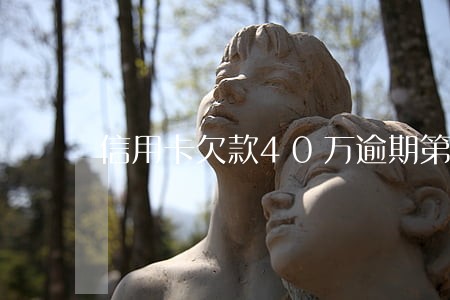 信用卡欠款40万逾期第四个月 信用卡欠款40万逾期第四个月