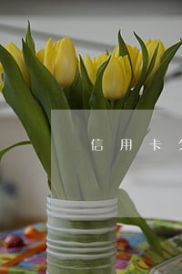 信用卡欠款4万逾期2个月 信用卡欠款4万逾期2个月