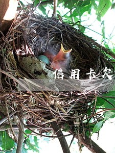 信用卡欠款4万逾期三个月 信用卡欠款4万逾期三个月