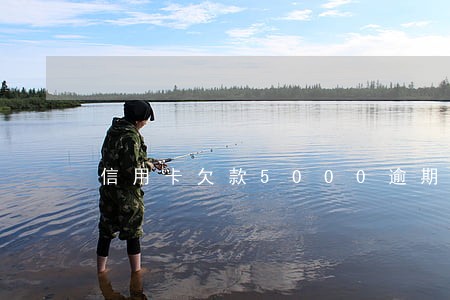 信用卡欠款5000逾期两年 信用卡欠款5000逾期两年
