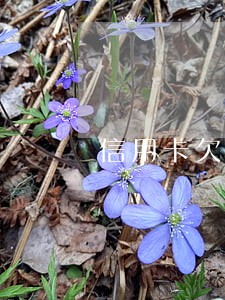 信用卡欠款500逾期 信用卡欠款500逾期